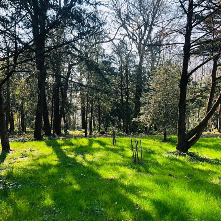 Chambre Duo Sainte-Gemme-la-Plaine Exteriér fotografie